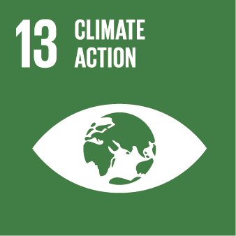 SDG Icons_Climate Action