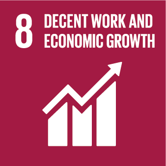 SDG Icons_Decent Work and Economic Growth