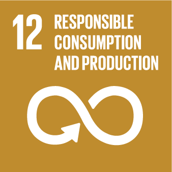 SDG Icons_Responsible Consumption and Production