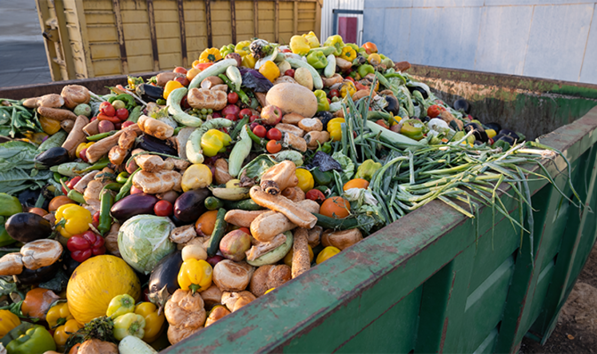 Food waste recycling
