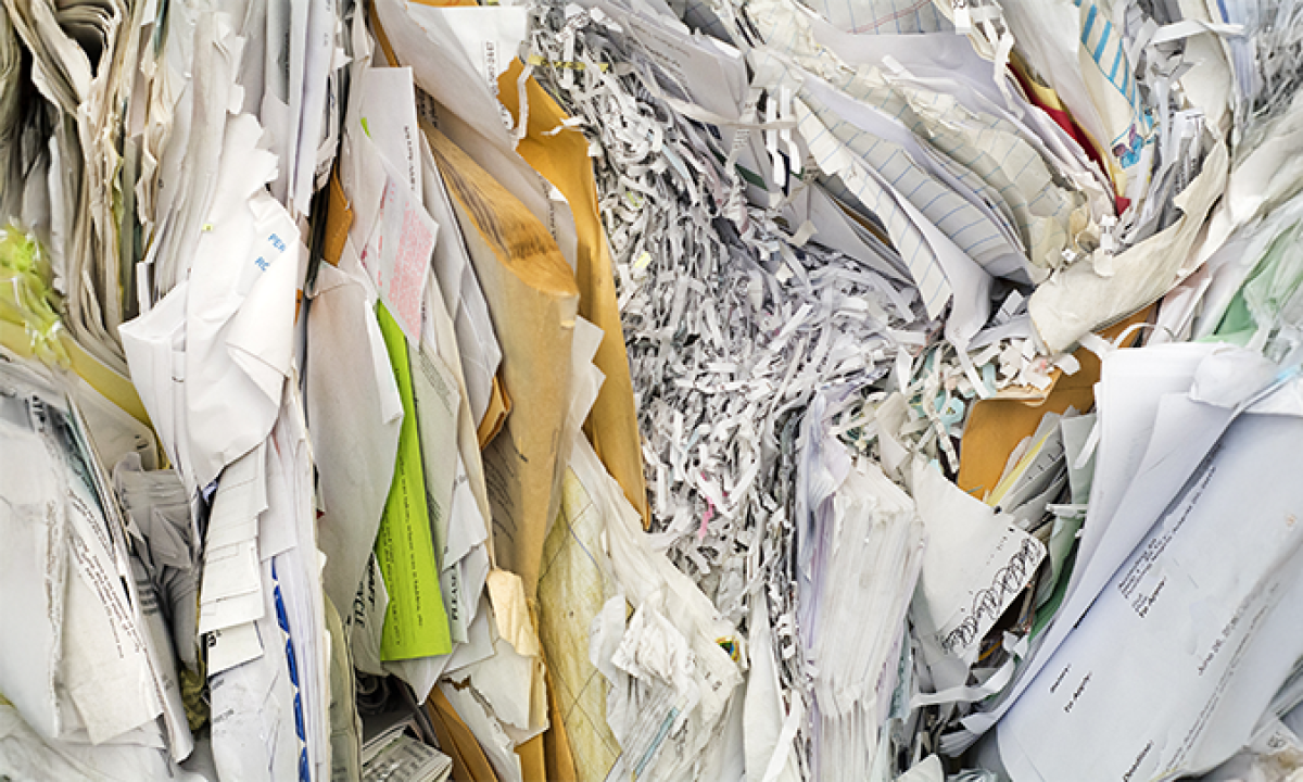 Why shredding services matter for business security