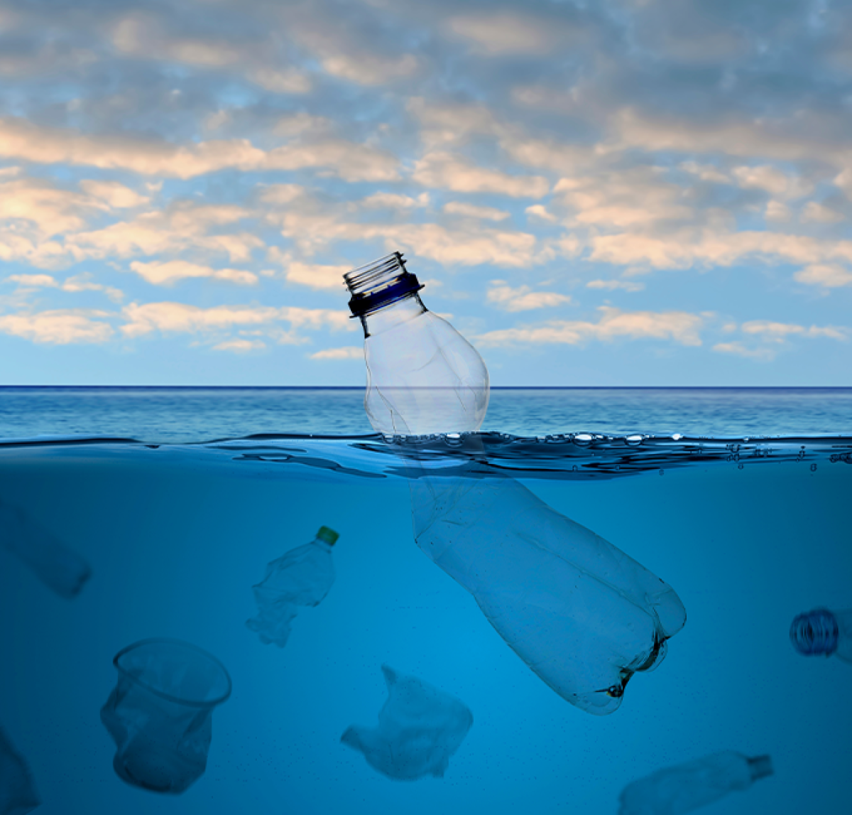 Eliminate waste and pollution