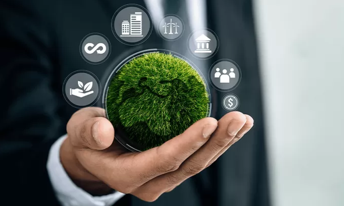 Frameworks, standards, and structured implementation