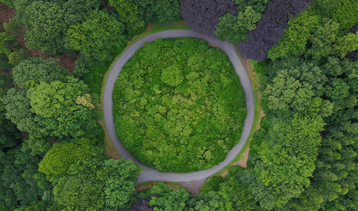 Why-the-world-needs-a-circular-economy-1 (1)