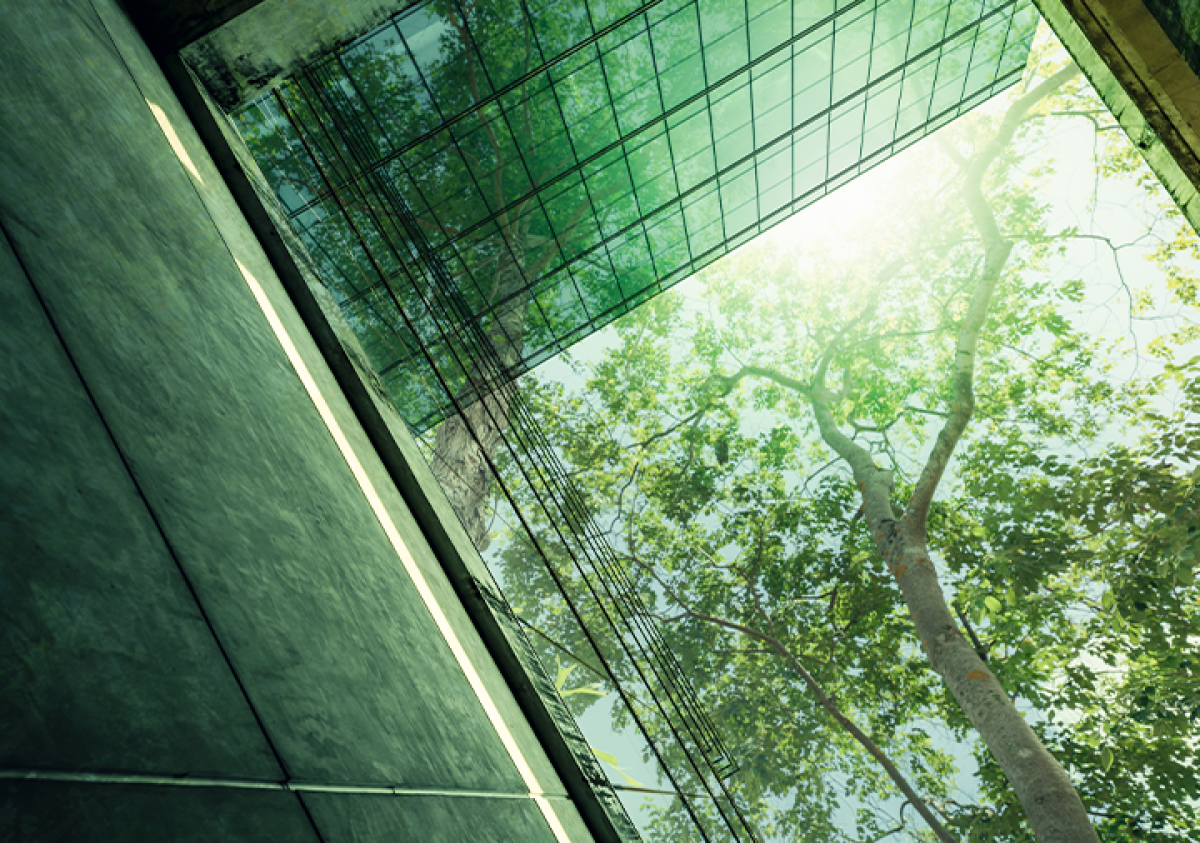 Developing a net-zero strategy