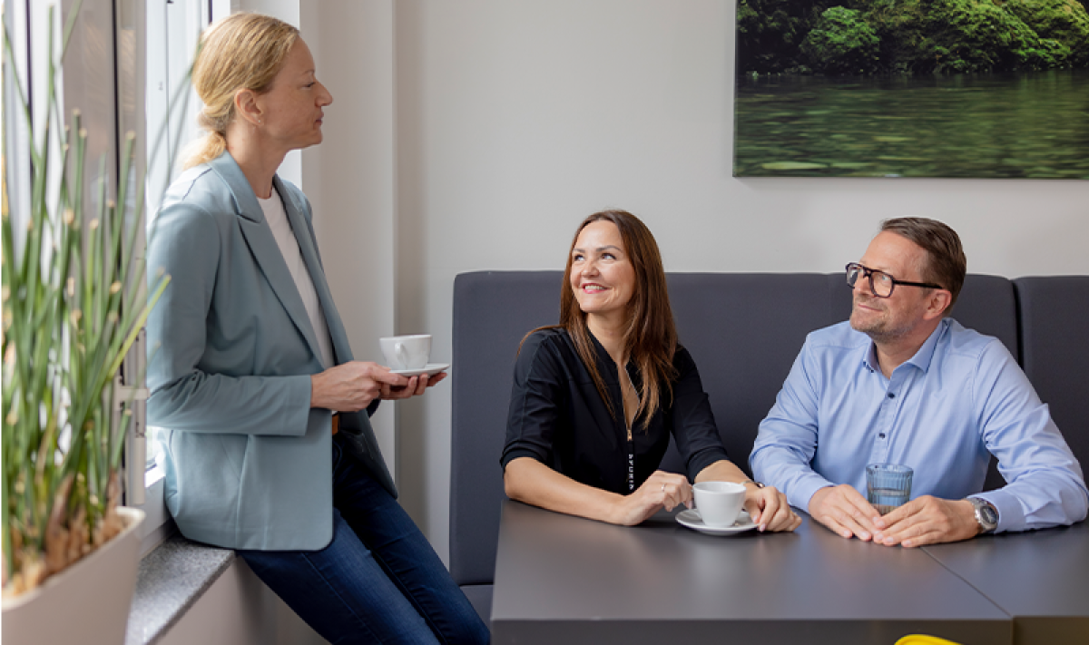 What is sustainability consulting_