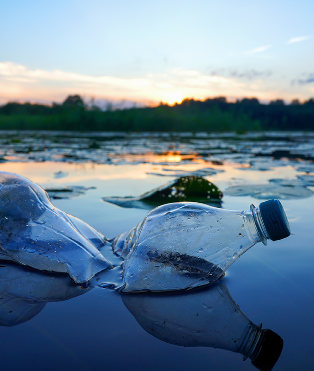 Eliminate waste and pollution