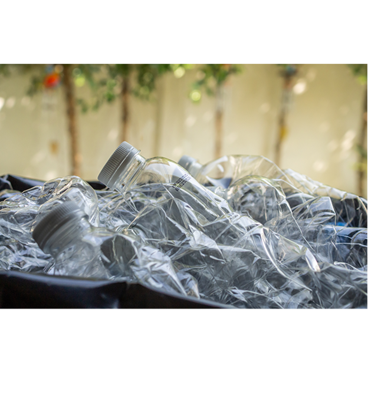 Plastic