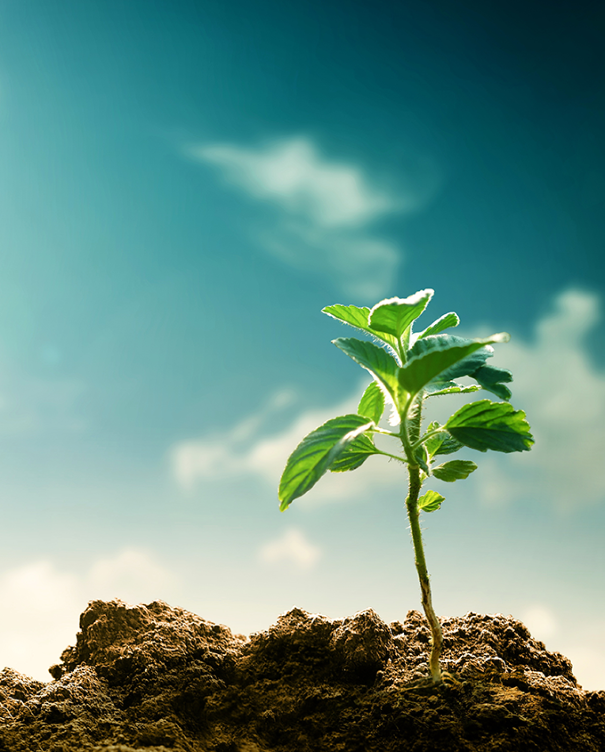 Regenerate natural systems